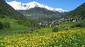 immagine dell'evento